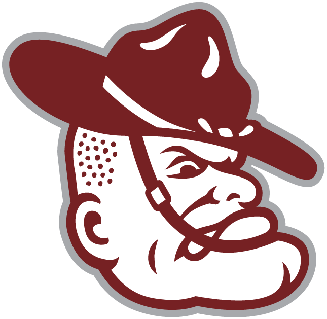 Texas A&M Aggies 2001-Pres Mascot Logo iron on transfers for T-shirts